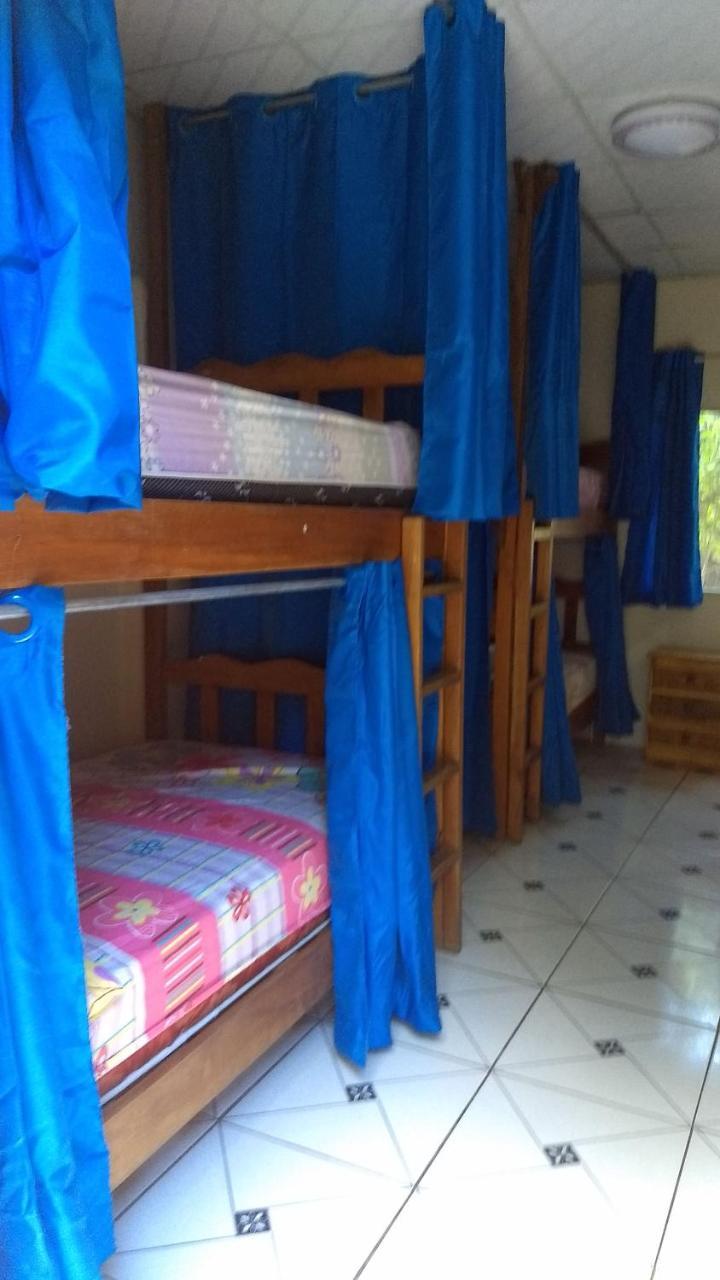 Bambu Hostelダビッド エクステリア 写真