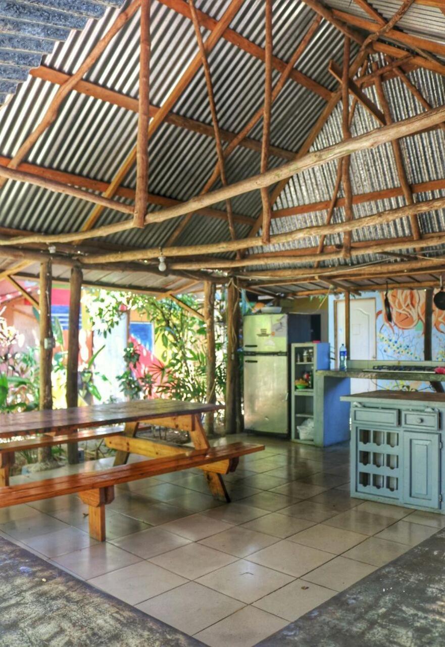 Bambu Hostelダビッド エクステリア 写真