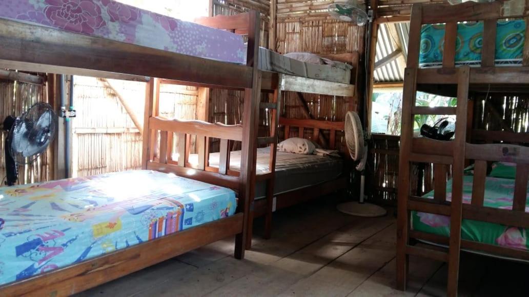 Bambu Hostelダビッド エクステリア 写真