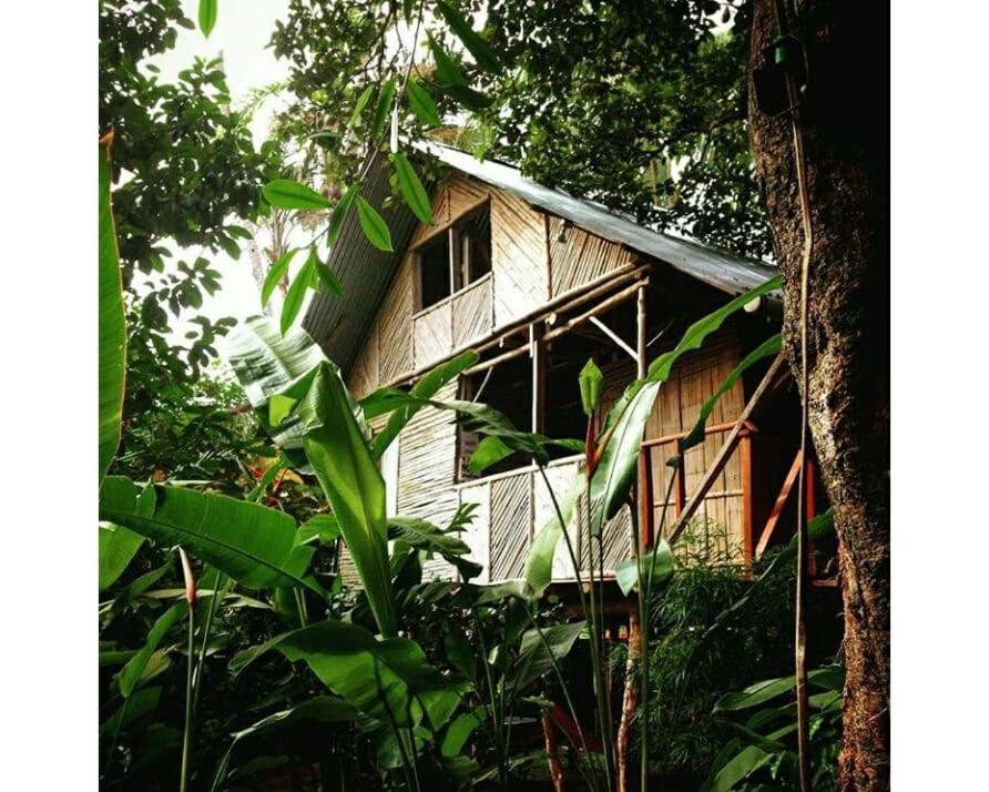 Bambu Hostelダビッド エクステリア 写真