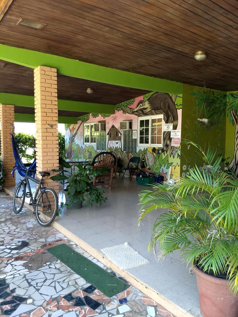 Bambu Hostelダビッド エクステリア 写真