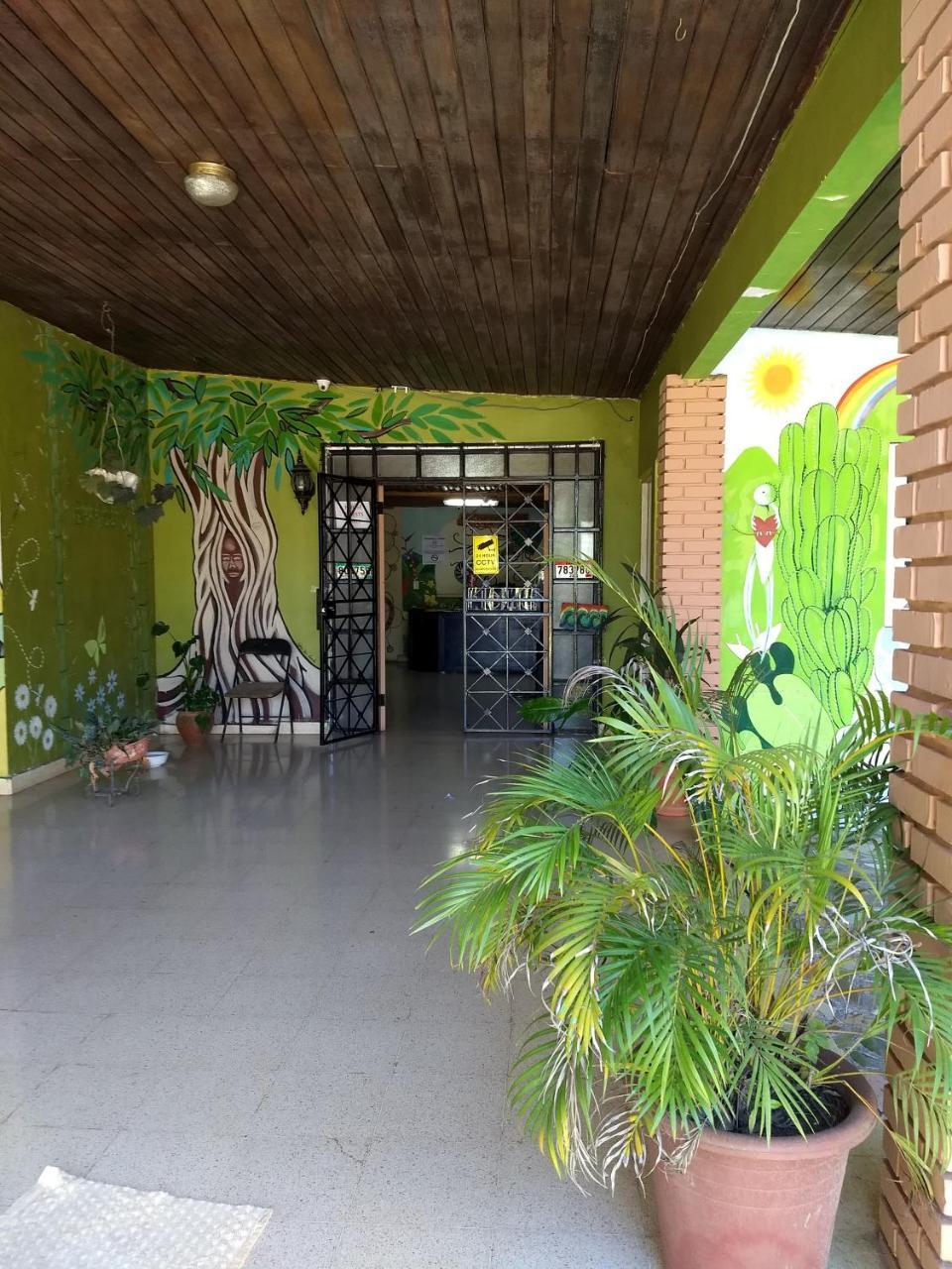 Bambu Hostelダビッド エクステリア 写真